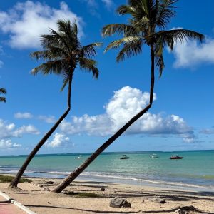 Maceio15